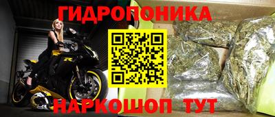 бошки Дубна