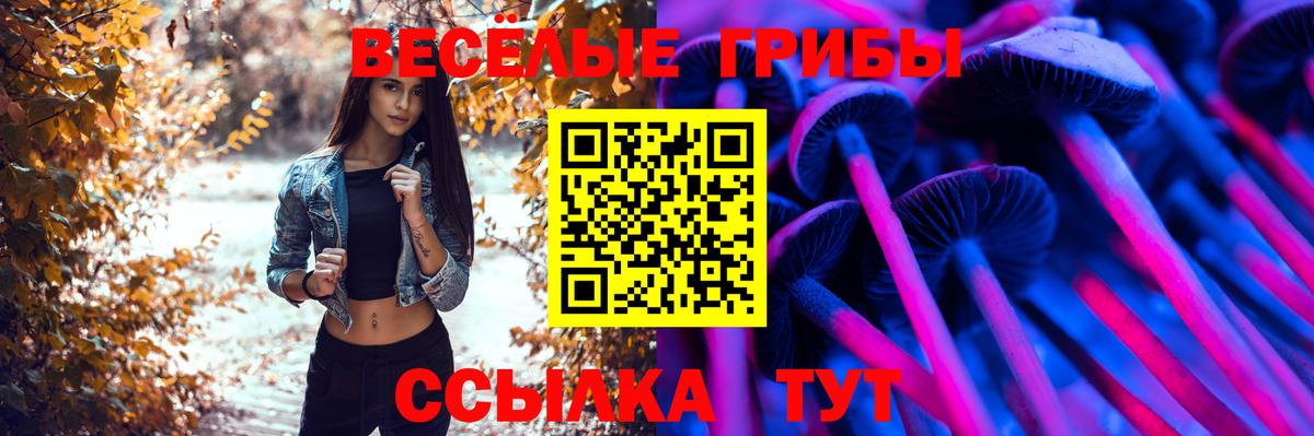 Реж  Псилоцибиновые грибы ЛСД  Вход с VPN 